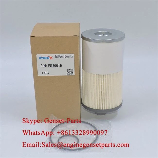 FS20019 Fuel Filter FS20019 Fuel Filter